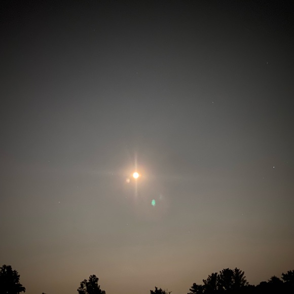 Meet your Posher, Mckenzie - Picture 3 of 4